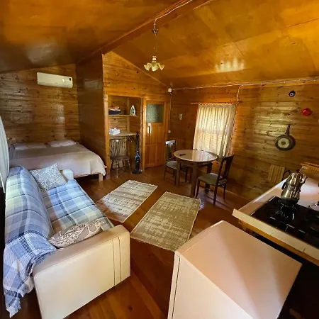Gizlibahce Holiday home *